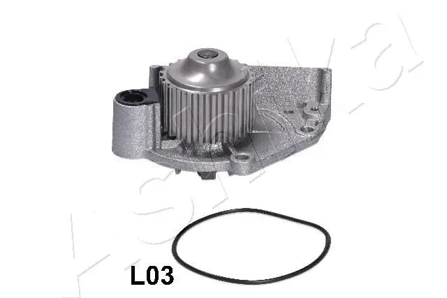 Pompe à eau ASHIKA 35-0L-L03
