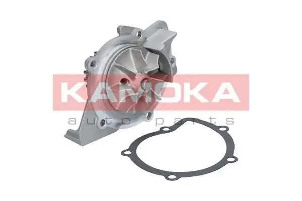 Pompe à eau KAMOKA T0091