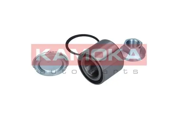 Kit de roulements de roue KAMOKA 5600048