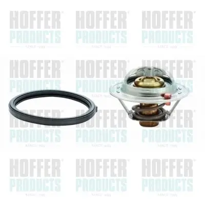 Thermostat d'eau HOFFER 8192635