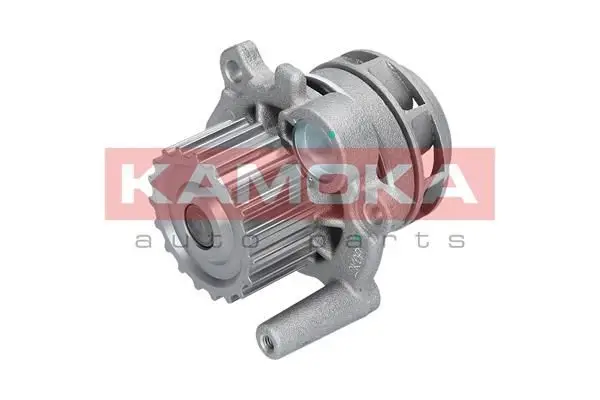 Pompe à eau KAMOKA T0034