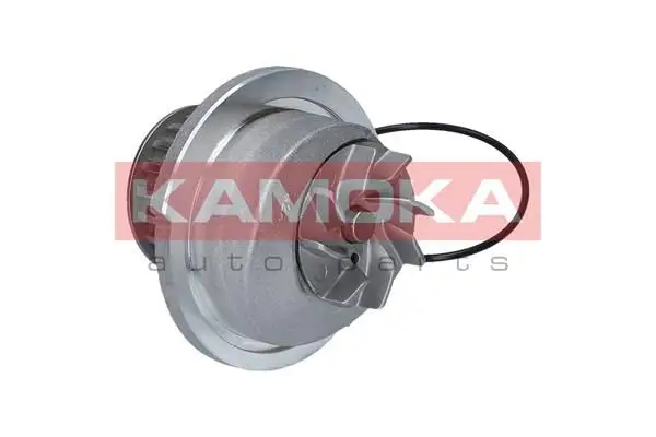 Pompe à eau KAMOKA T0235