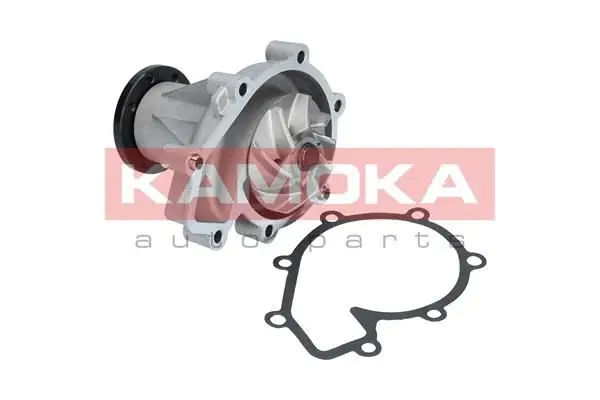 Pompe à eau KAMOKA T0181