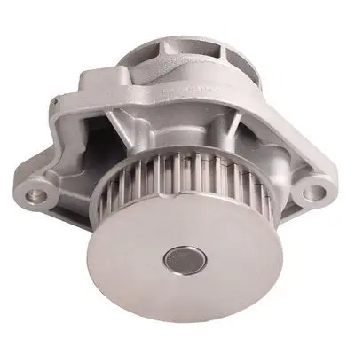 Pompe à eau Bapmic TOPT1305022