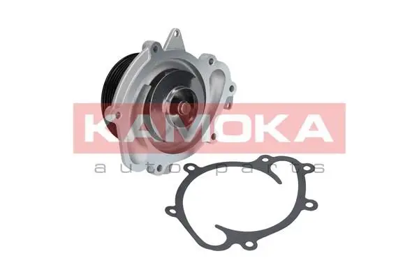 Pompe à eau KAMOKA T0073