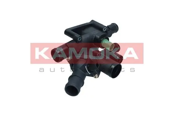 Thermostat d'eau KAMOKA 7710019