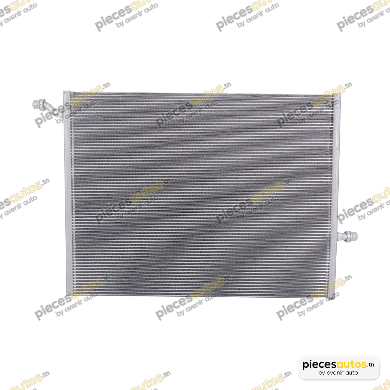Radiateur, refroidissement du moteur Bapmic BF0734180100