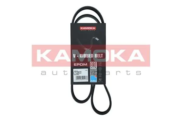 Courroie KAMOKA 7016035