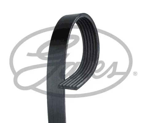 Courroie GATES 6PK1113