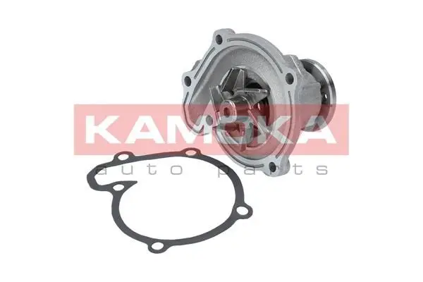 Pompe à eau KAMOKA T0218