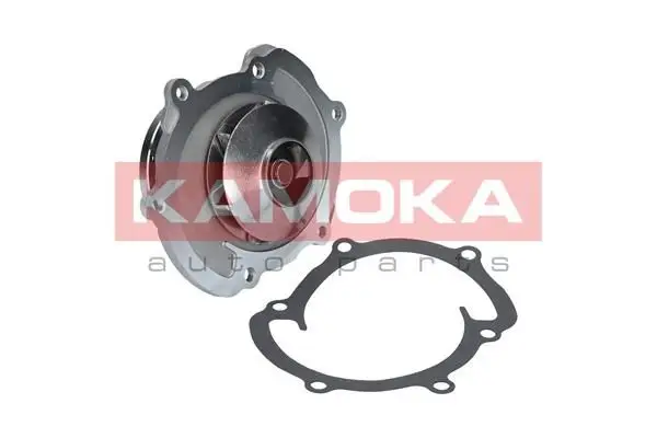 Pompe à eau KAMOKA T0008