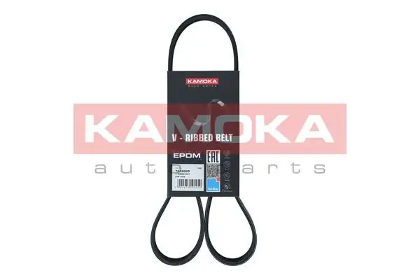 Courroie KAMOKA 7016053