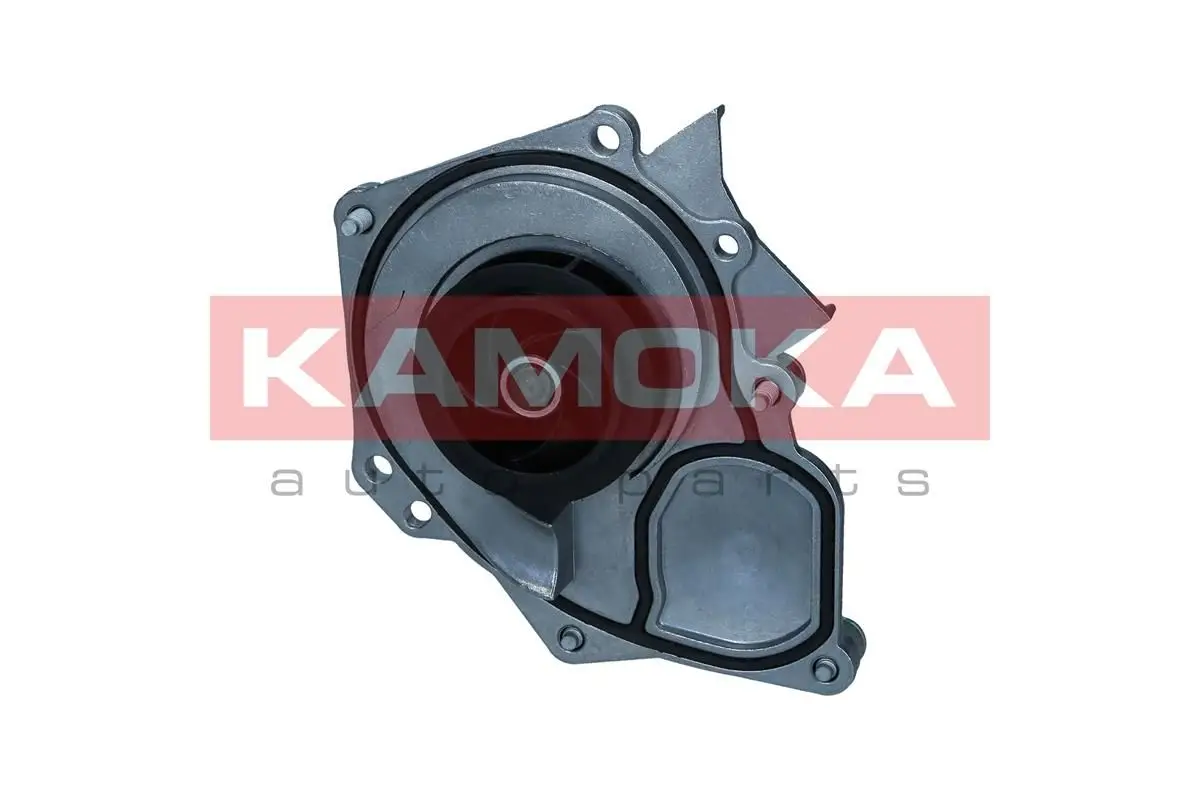 Pompe à eau KAMOKA T0289
