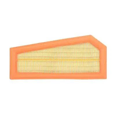 Filtre à air Bapmic BF0427400052