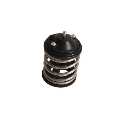 Thermostat d'eau Bapmic BF0426520049