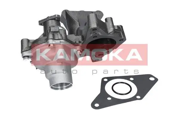 Pompe à eau KAMOKA T0121