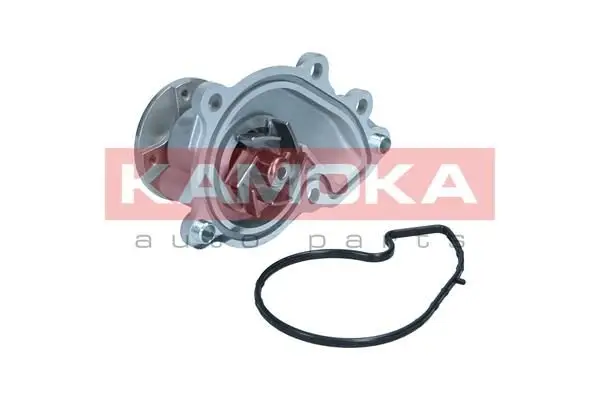 Pompe à eau KAMOKA T0312