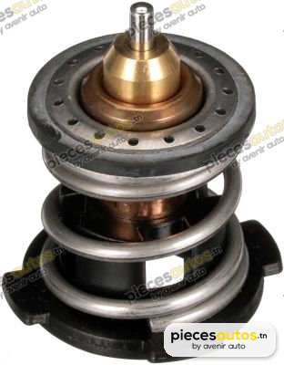Thermostat d'eau Bapmic BF0426580013