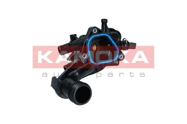 Thermostat d'eau KAMOKA 7710002