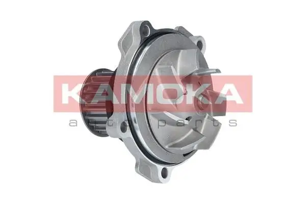 Pompe à eau KAMOKA T0077
