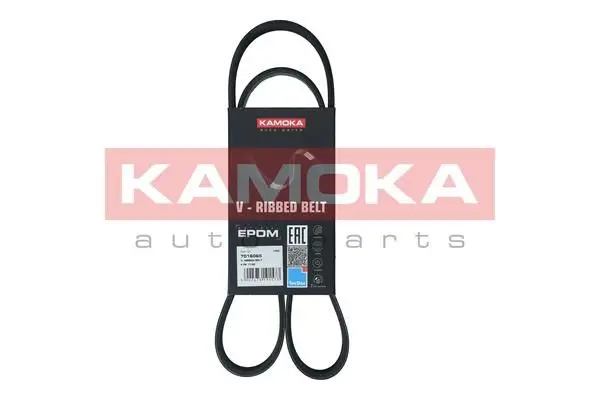Courroie KAMOKA 7016065