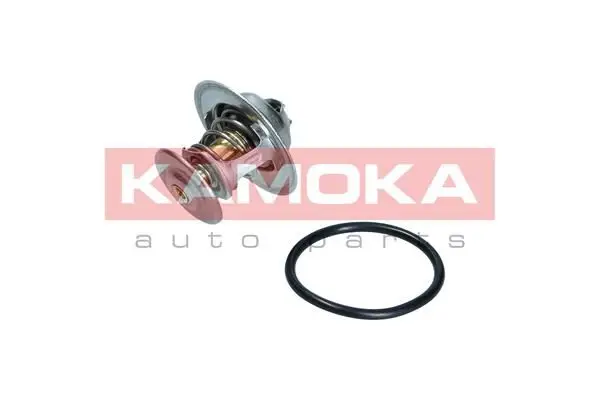 Thermostat d'eau KAMOKA 7710047