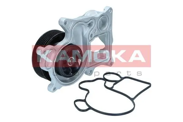 Pompe à eau KAMOKA T0301