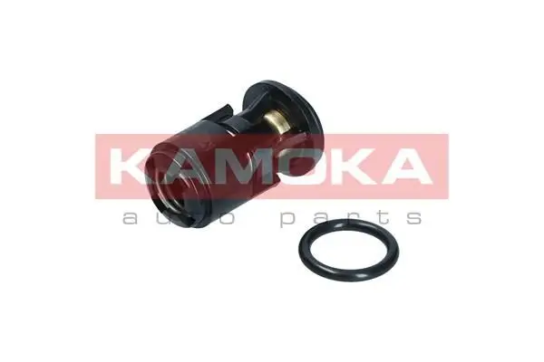 Thermostat d'eau KAMOKA 7710094