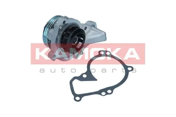 Pompe à eau KAMOKA T0296