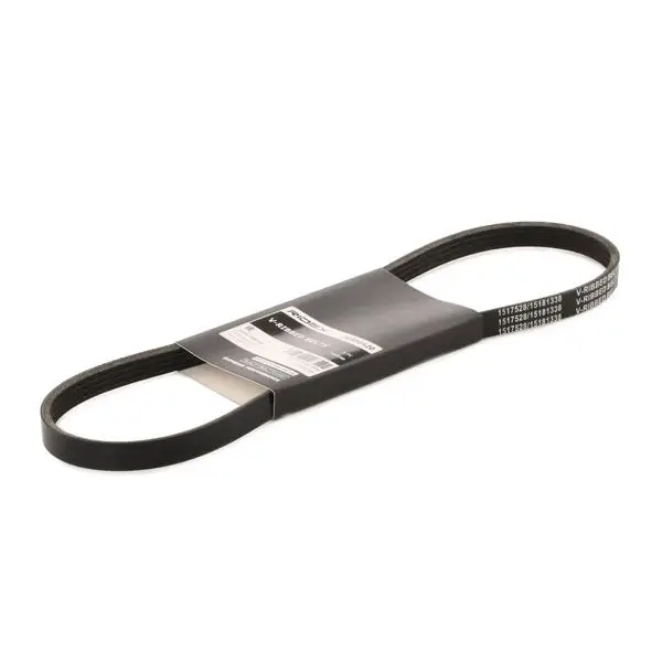 Courroie Ridex 305P0420
