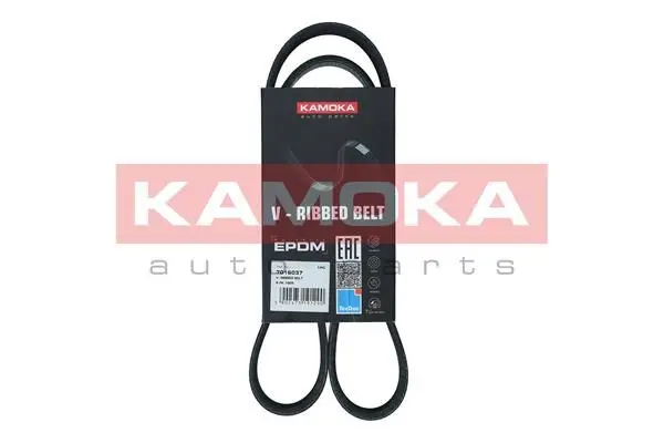 Courroie KAMOKA 7016037