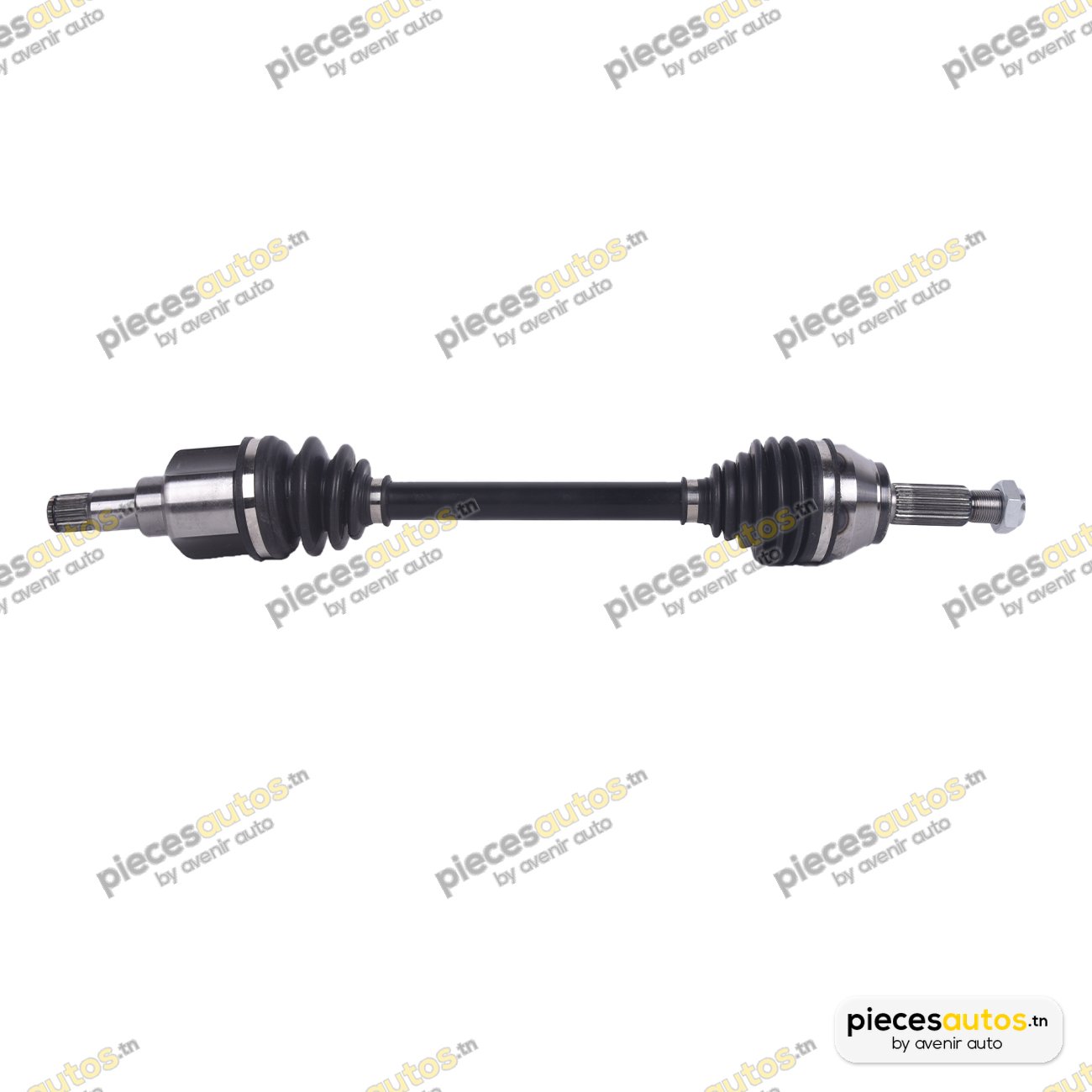 Cardan Bapmic BF0319860242