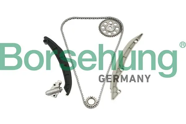Kit de distribution par chaîne Borsehung B18960