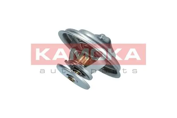 Thermostat d'eau KAMOKA 7710064