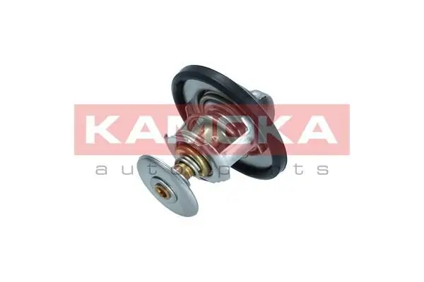 Thermostat d'eau KAMOKA 7710044
