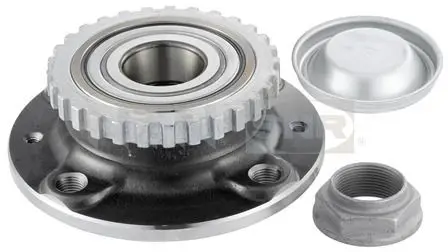 Kit de roulements de roue SNR R166.29