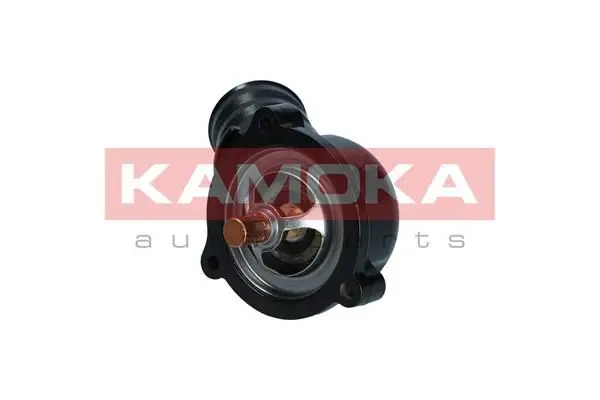 Thermostat d'eau KAMOKA 7710263