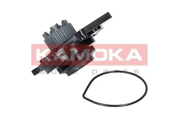 Pompe à eau KAMOKA T0031