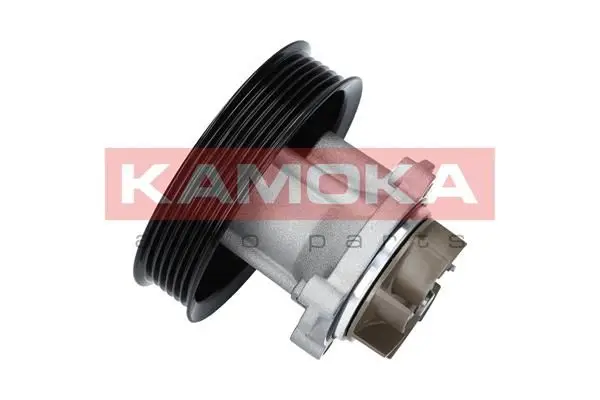 Pompe à eau KAMOKA T0014