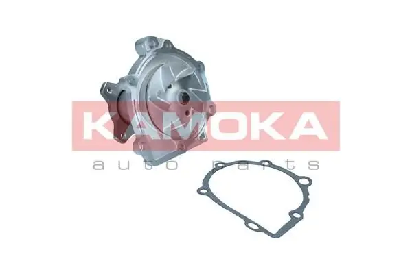 Pompe à eau KAMOKA T0320