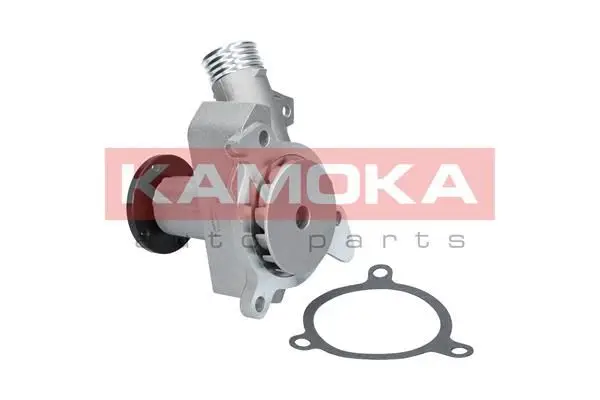 Pompe à eau KAMOKA T0054