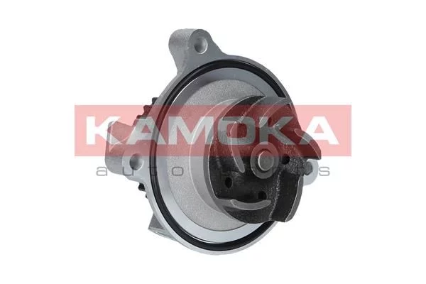 Pompe à eau KAMOKA T0045