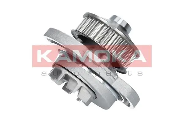 Pompe à eau KAMOKA T0254