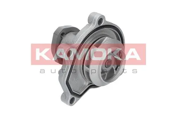 Pompe à eau KAMOKA T0252