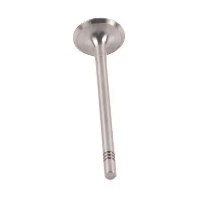 Soupape d'admission Bapmic BF0425670002