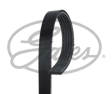 Courroie GATES 5PK948