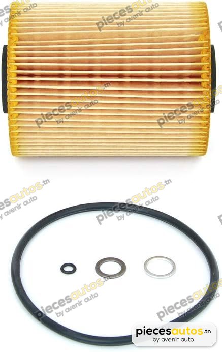 Filtre à huile Bapmic BF0423450024