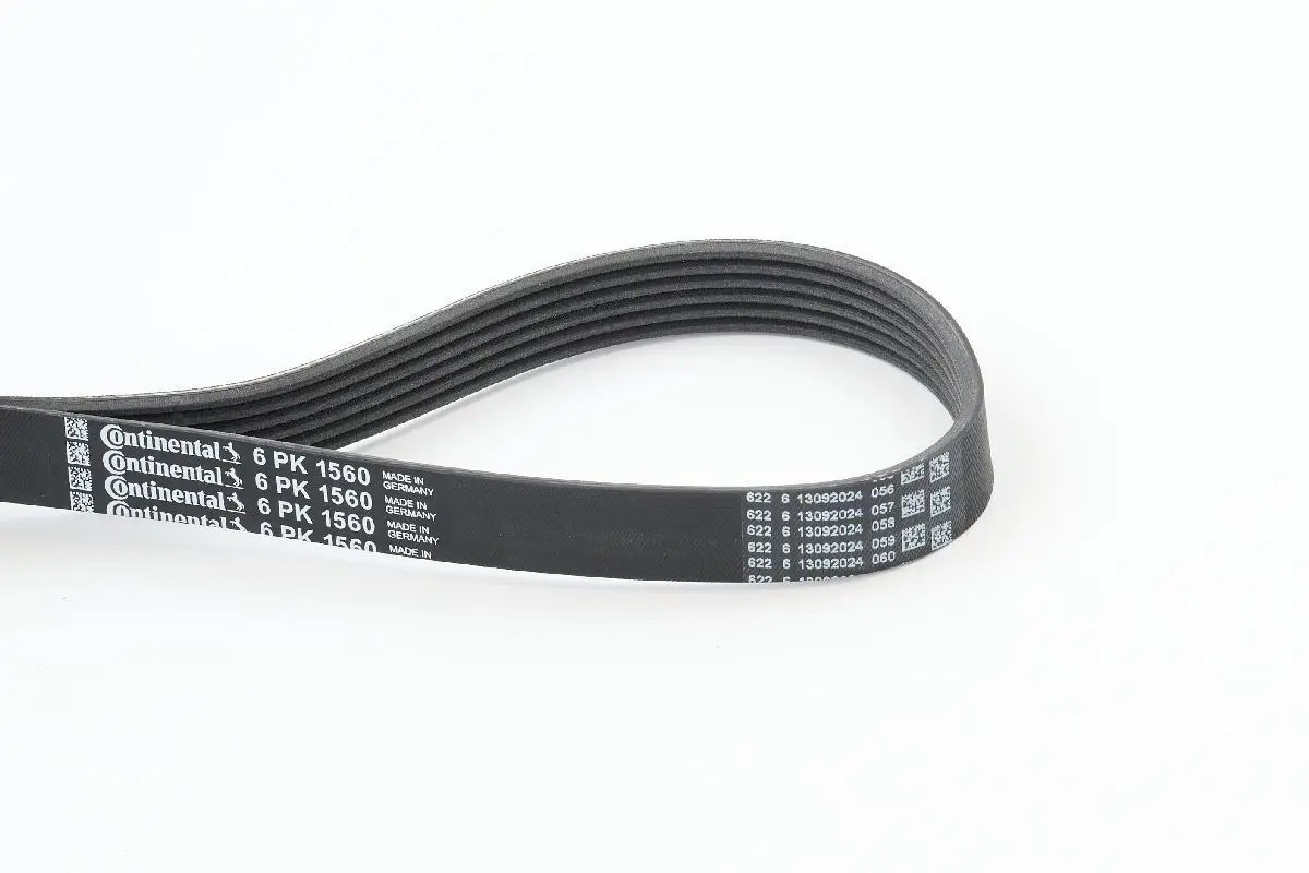 Courroie CONTITECH 6PK1560