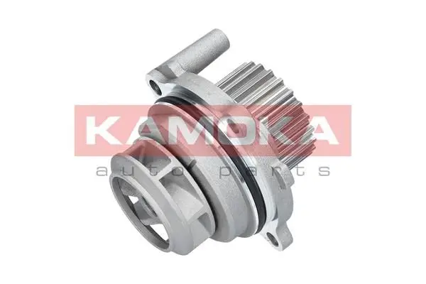 Pompe à eau KAMOKA T0029