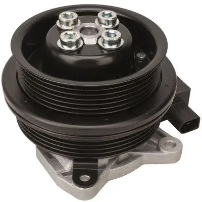 Pompe à eau Bapmic TOPT1305036